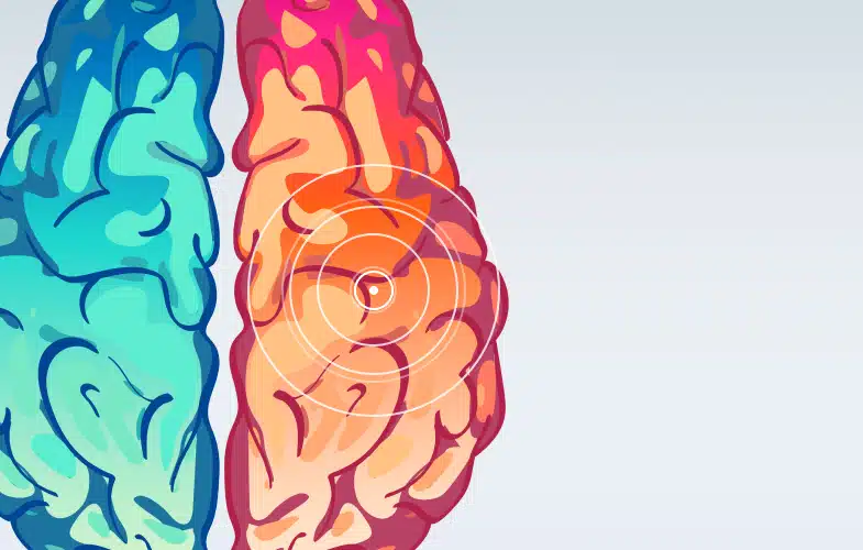 Depiction of the two sides of a brain with an emphasis on the right side